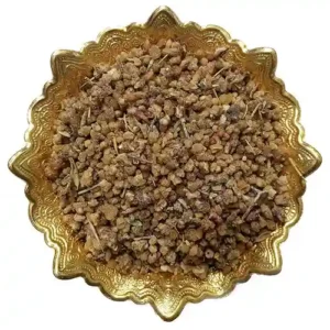 خرید ترنجبین دانه درشت