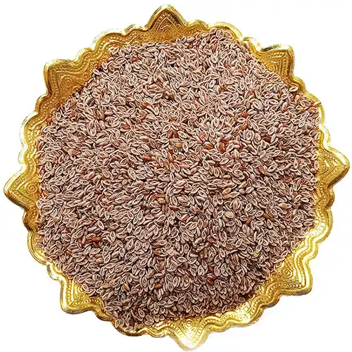 plantago-ovata-buy خرید اسفرزه مرغوب
