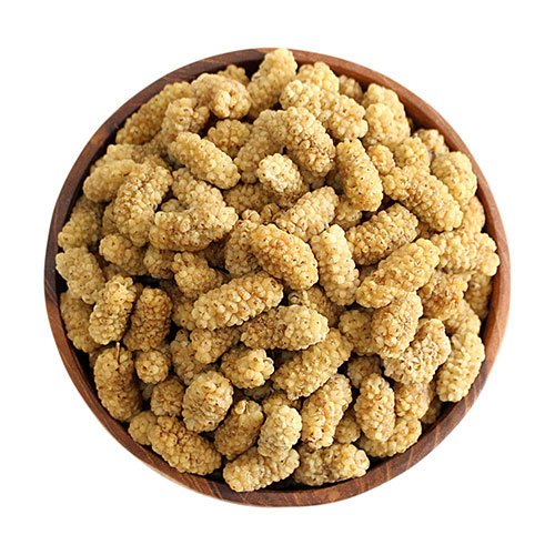 dried-berries توت خشک صادراتی