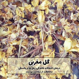گل مغربی خشک