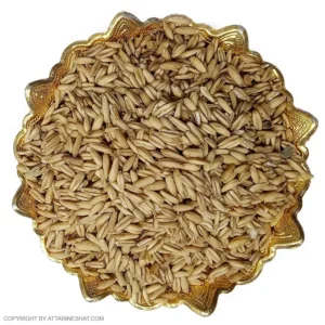 خرید جو دوسر