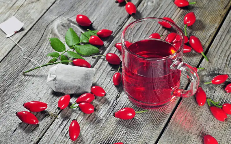 خواص گل نسترن