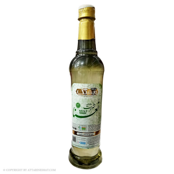mint-herbal-syrup شربت گیاهی عرق نعنا ویشنگ 900 گرم