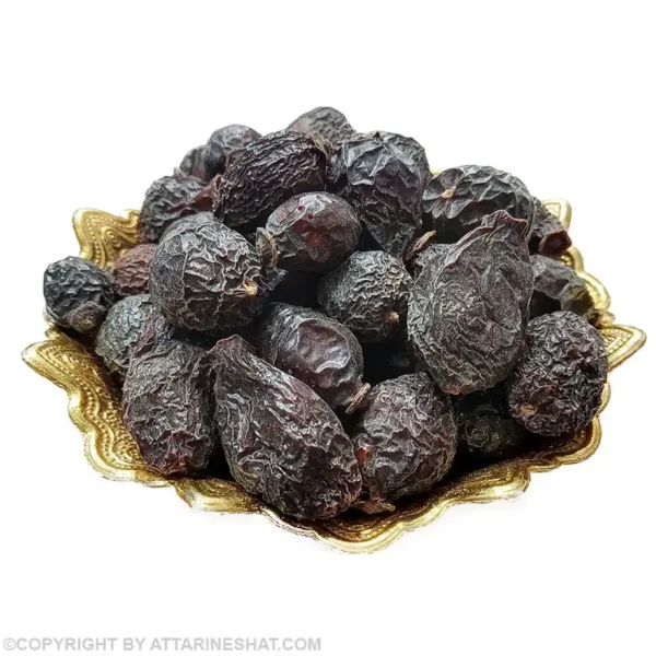 میوه نسترن کوهی
