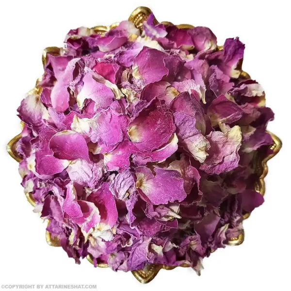 گل محمدی خرید گل محمدی