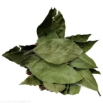 خرید برگ بو