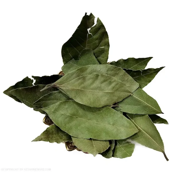 خرید برگ بو