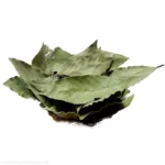 برگ بو خشک 50 گرم - Image 2