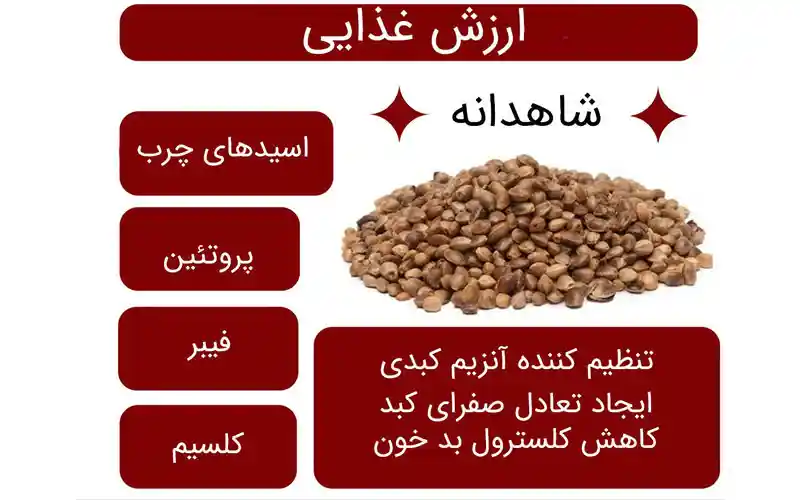 ترکیبات موثر شاهدانه برای کبد