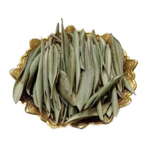 برگ زیتون خشک