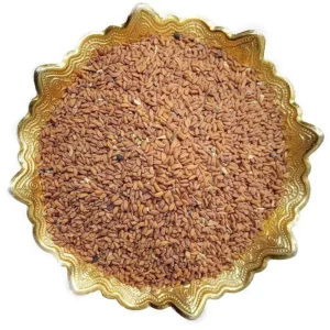 تخم شاهی