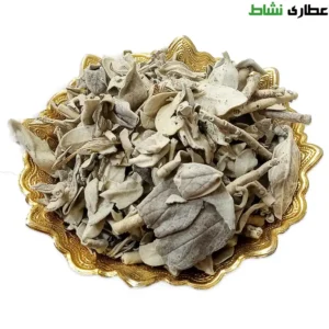 گیاه پولک