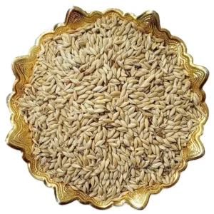 تخم کتان پرنده