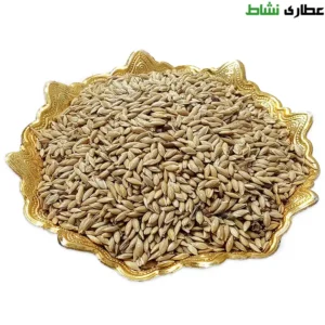 تخم کتان پرنده