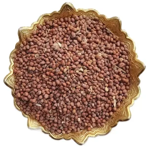 بذر تربچه