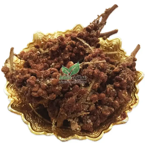 سماق قهوه ای خوشه ای