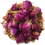 غنچه گل محمدی