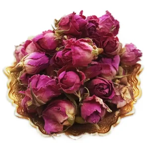 غنچه گل محمدی