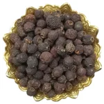 میوه سپستان