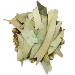 برگ اکالیپتوس