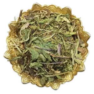 برگ کاسنی
