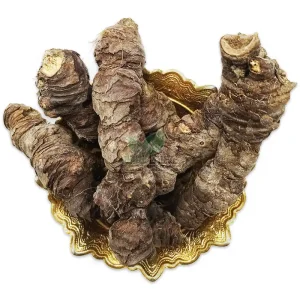 ریشه ایرسا