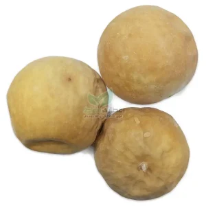 حنظل