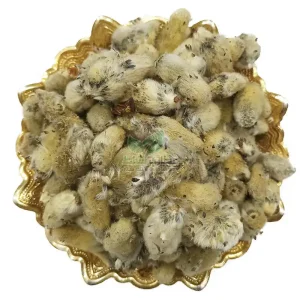 گل بیدمشک