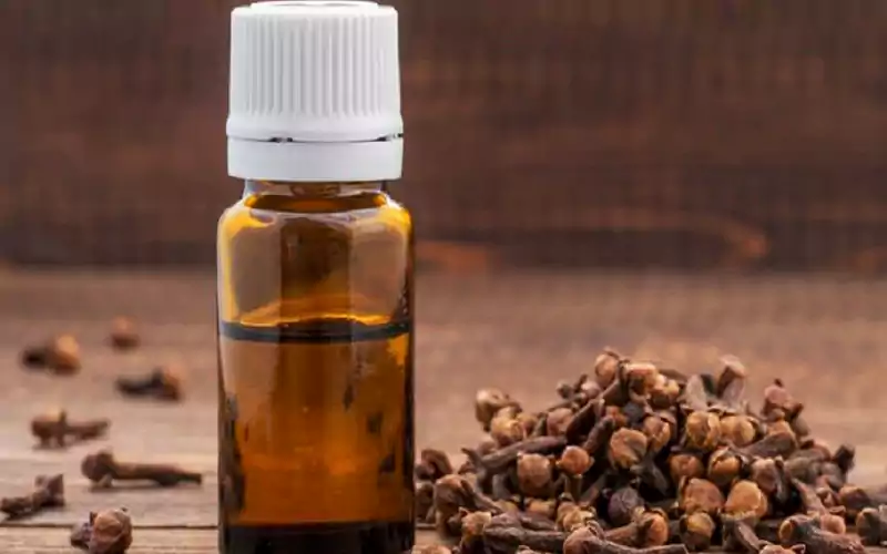 خواص میخک برای تخمدان