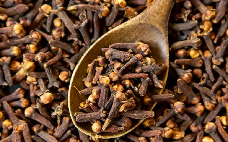 خواص میخک برای زنان