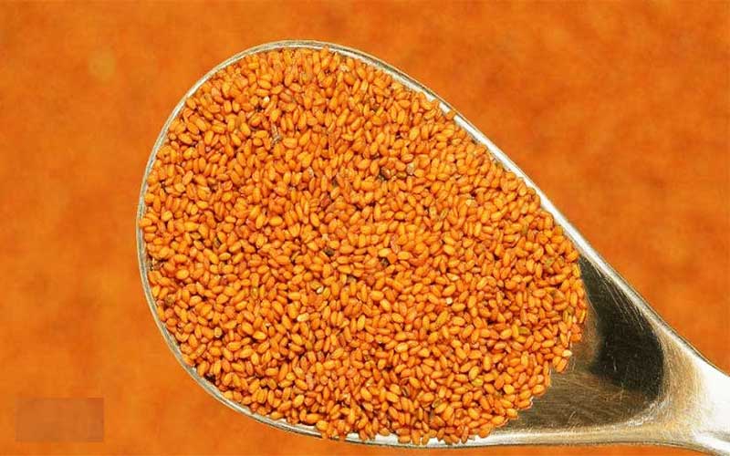 پاکسازی کبد با خاکشیر
