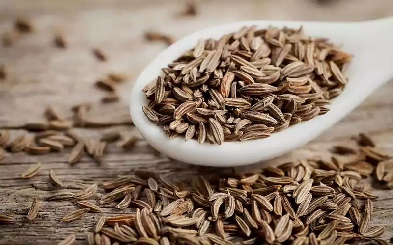 بهبود هضم غذا از خواص زنیان برای معده