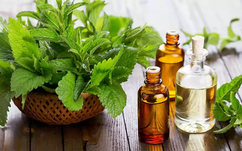 درمان زود انزالی آقایان با روغن نعنا