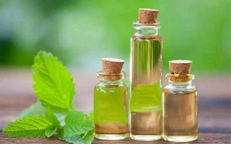 روغن نعنا برای رابطه جنسی