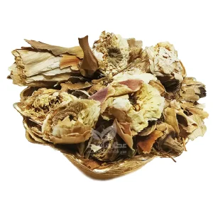 گل نیلوفر خشک