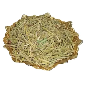 گیاه خارشتر