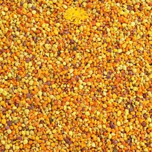گرده گل