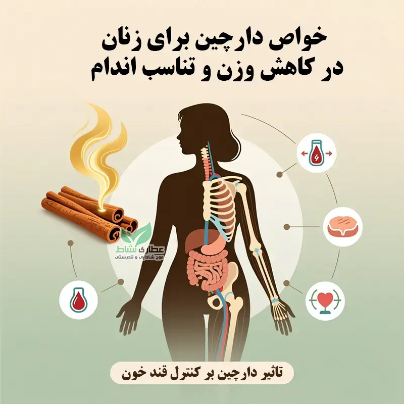 خواص دارچین برای زنان