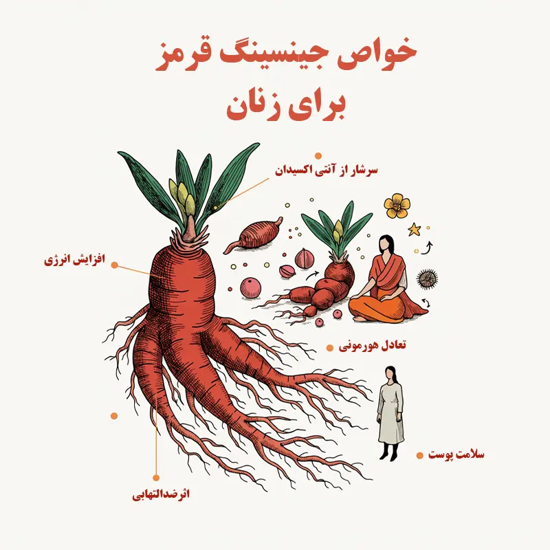 خواص جینسینگ قرمز برای زنان
