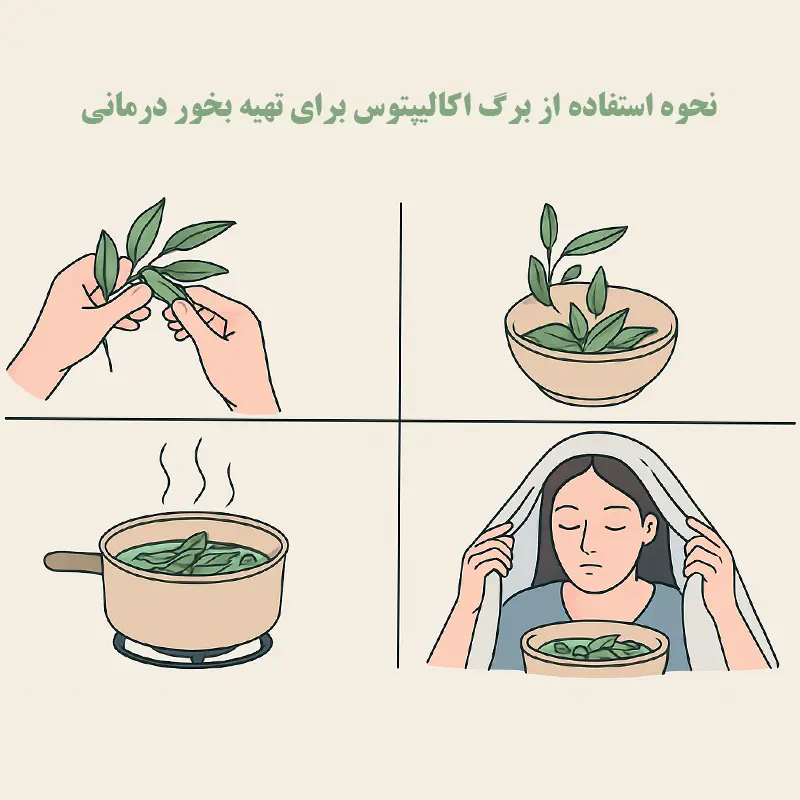بخور برگ اکالیپتوس برای سرماخوردگی